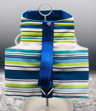 NEW "Long Board" Blue Green Stripes